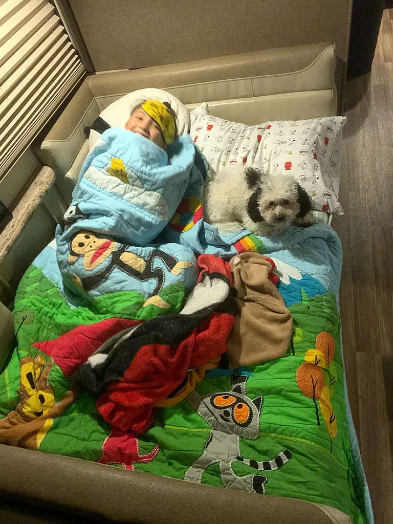 Bunk bed — kid and pup approved